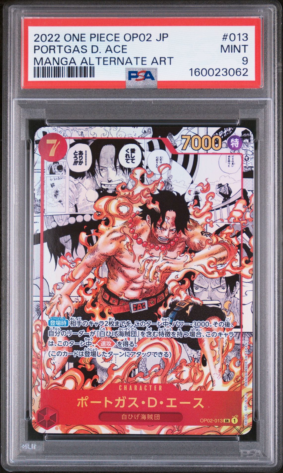 PORTGAS D. ACE